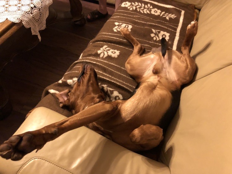 relax po wystawie.jpg