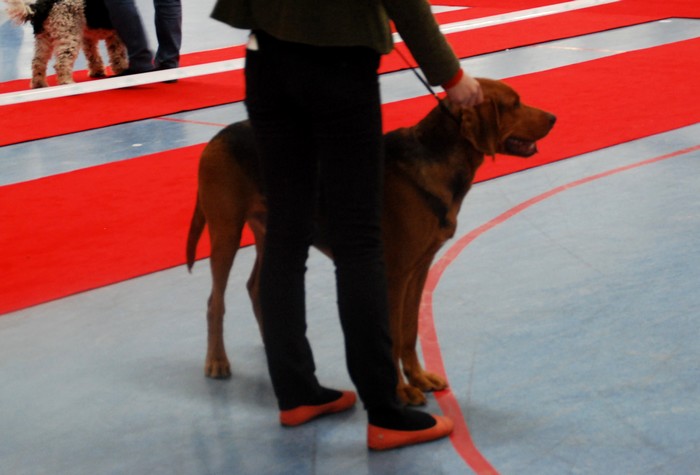 Zoran