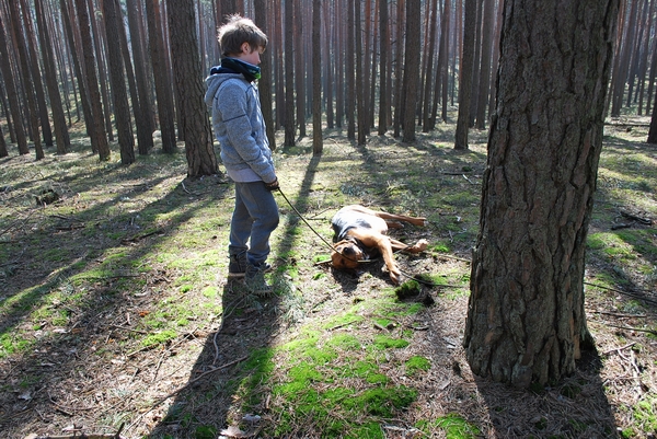Długo jeszcze???
