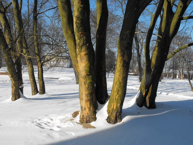 DSCF5001.JPG