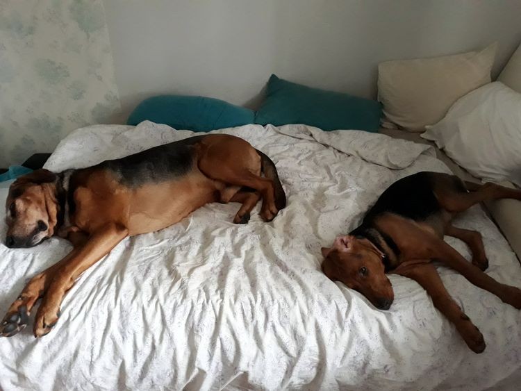 20180323_132730.jpg