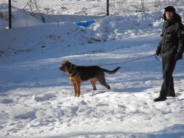 DSCF5006.JPG