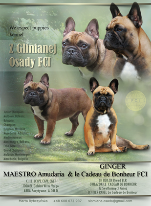 Grafika-gruby napis-expected (Copy).png