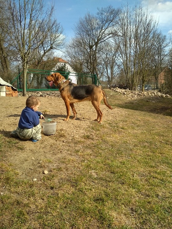 Chłopaki.