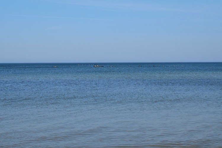 A w niedzielę prawdziwe lato, ponad 20 stopni i cichutko nad wodą. Przytomnie wybrałyśy się na spacer rano, jak schodziłyśmy koło 13, na plaże wędrowały tłumy
