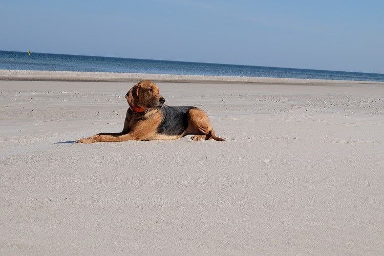 pierwsze w tym roku plażowanie zmn.jpg