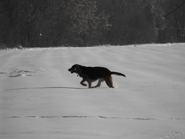 DSCF5026.JPG