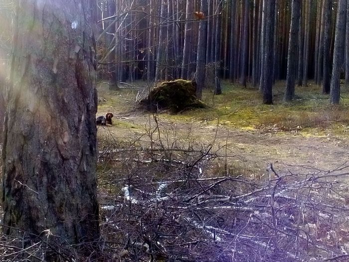 DSC_2058.JPG