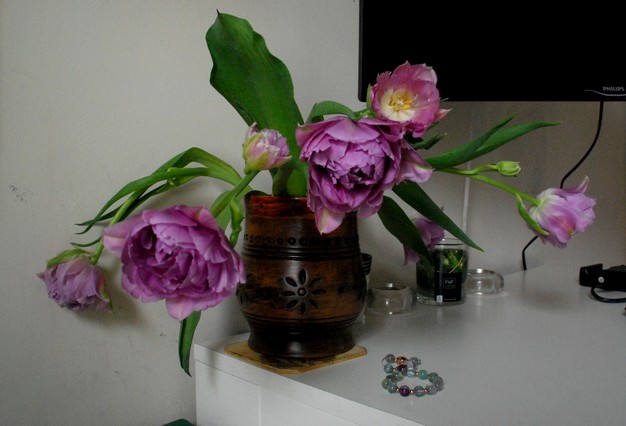 w1.JPG