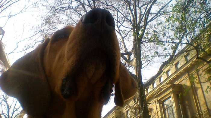 2014-03-01 2014-03-01 004 039.JPG