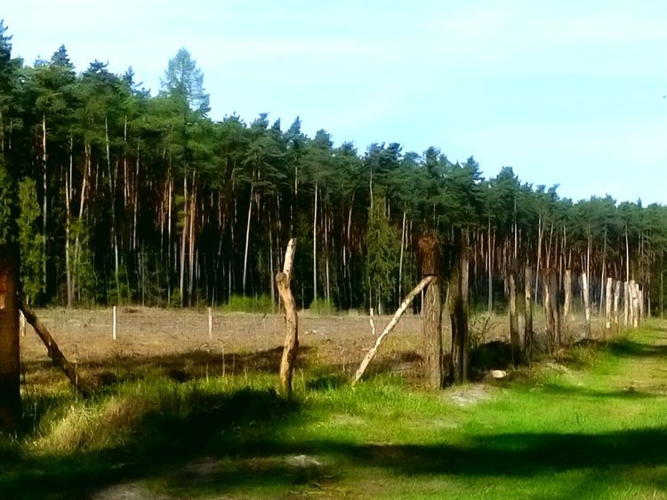 DSC_2130.JPG