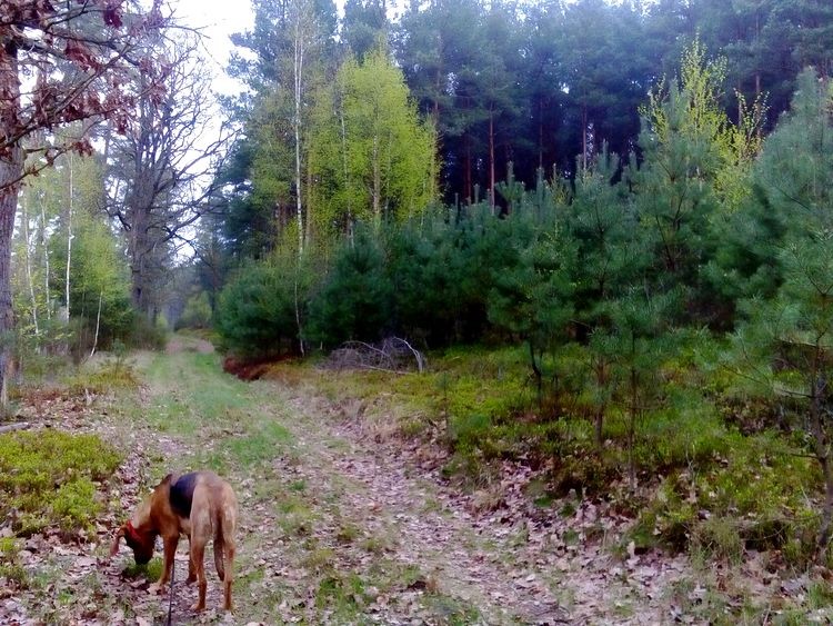 DSC_2089.JPG