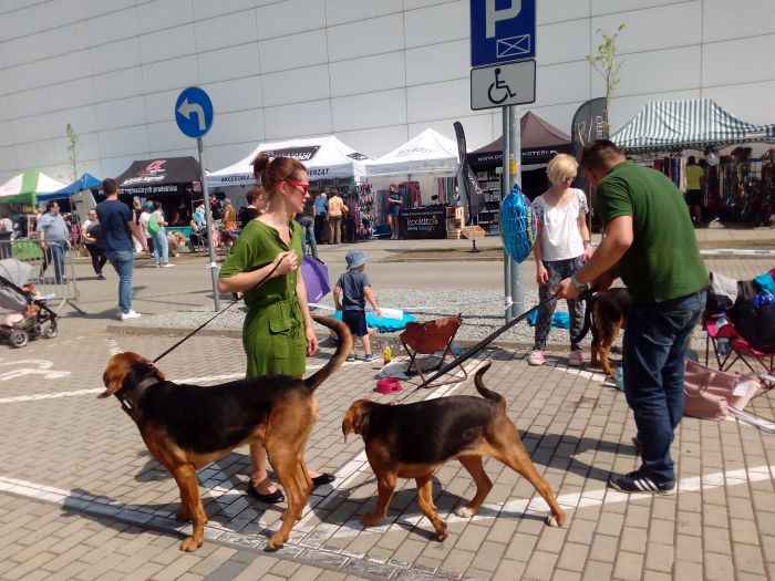 ekipa z Kniaziów