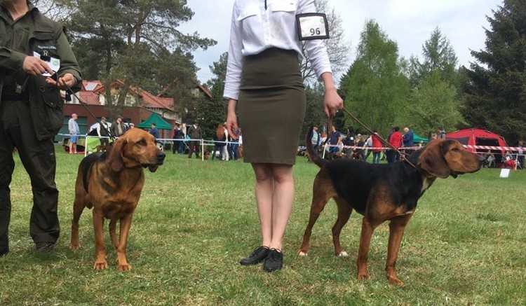 ARKA I FLANKA1.jpg