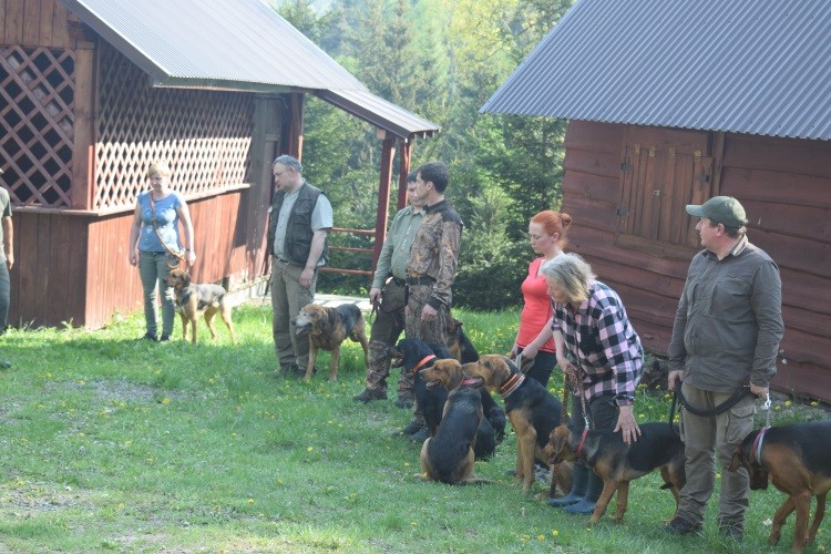 ostatnie uwagi dot posłuszeństwa .jpg