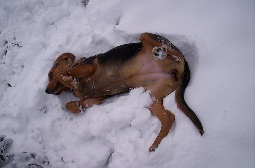 100_2036.JPG