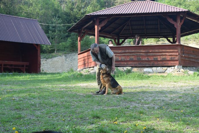 Ares - mimo roli obserwatora ćwiczy .JPG
