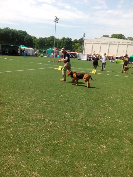 IMG_20180512_123338.jpg