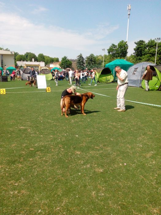 IMG_20180512_123419.jpg