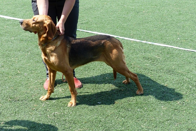 Waćpanna