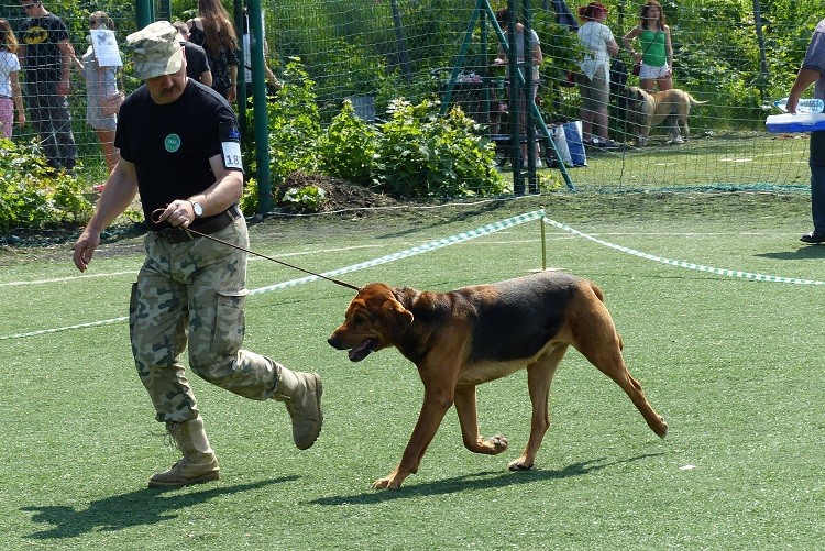 Puszkar