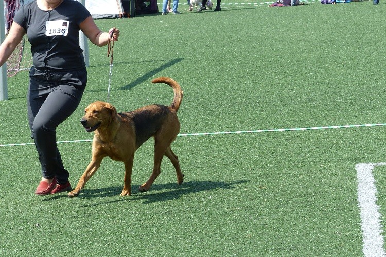 Waćpanna