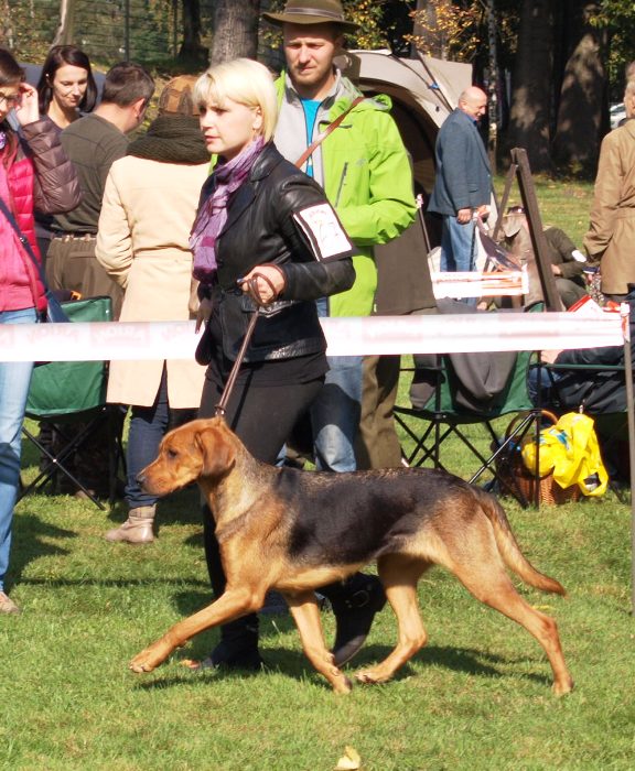 NORITA z Beskidzkich Wysp.jpg