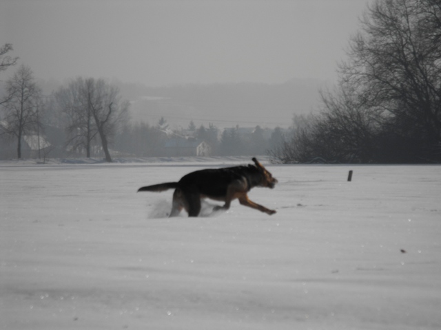 DSCF5012.JPG