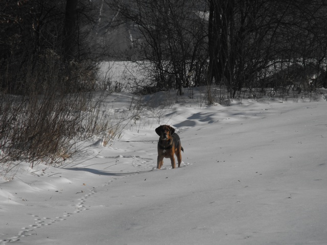 DSCF5010.JPG