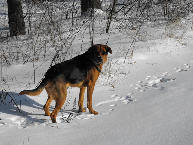 DSCF5017.JPG