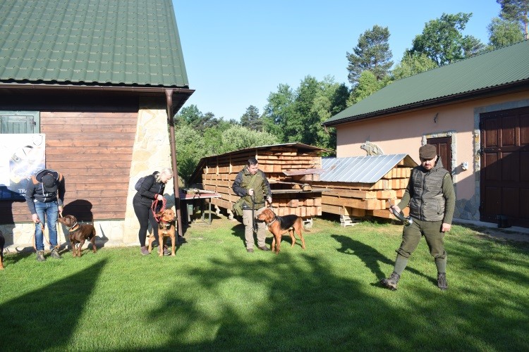 idziemy na zbiórkę .jpg