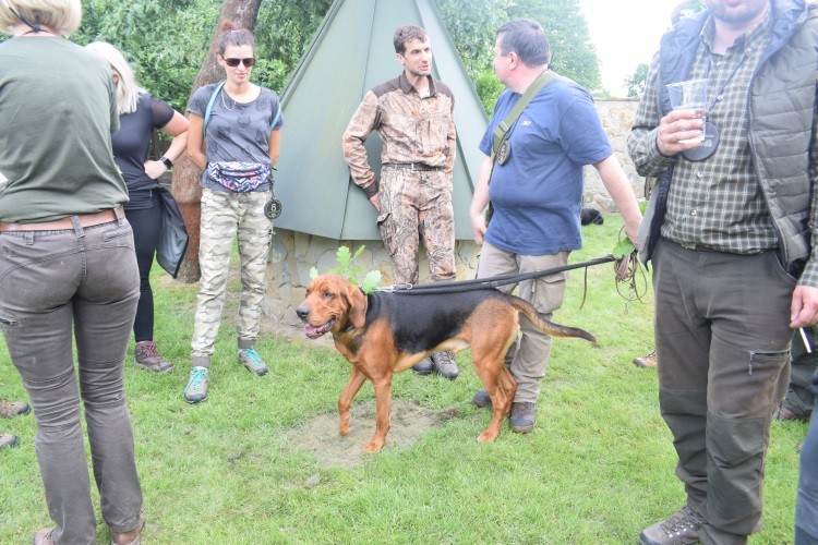 Rozmaryn_ trochę krótko było_ poszedłbym gdzieś jeszcze .jpg