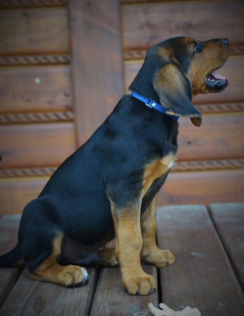 TAB_9957.JPG