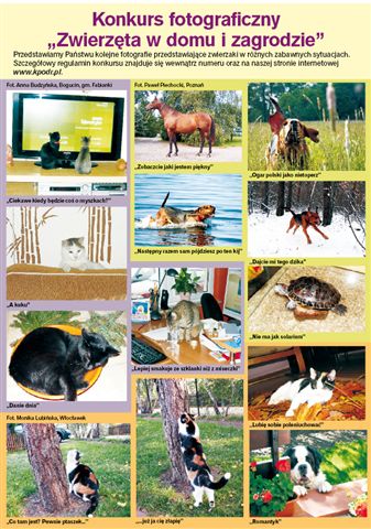 konkurs FOTO-luty.jpg