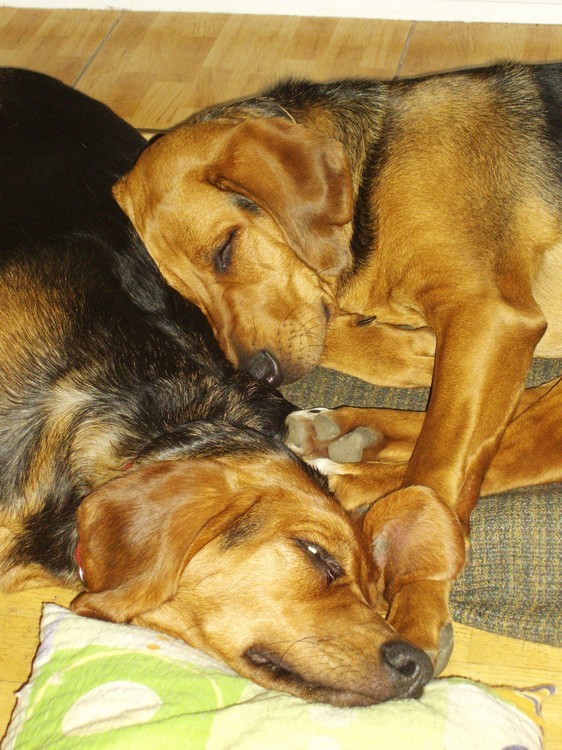IMGP0936.JPG