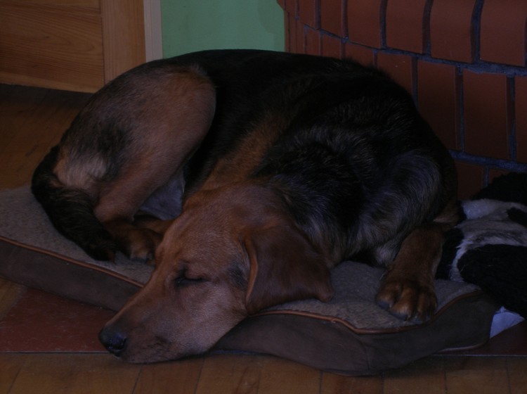 PB291062.JPG