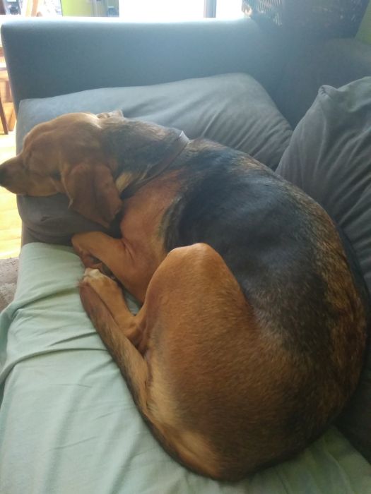 Trudy macierzyństwa. Trzeba odpocząć.