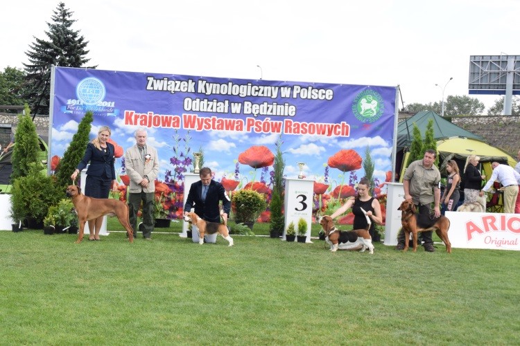 finały GR VI.jpg