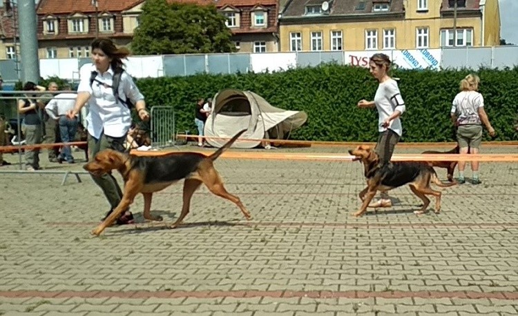Młodzież