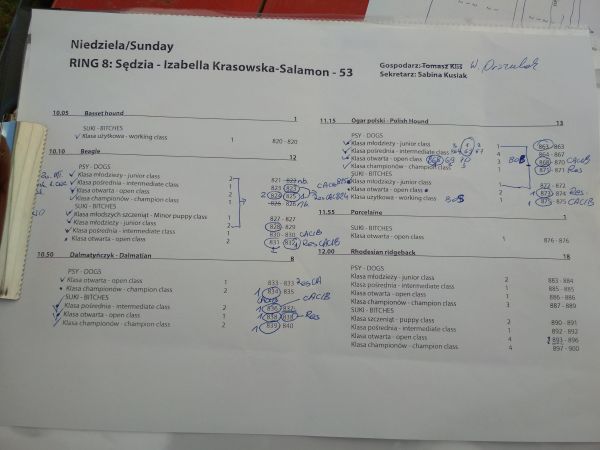 IMG_20180729_120155.jpg