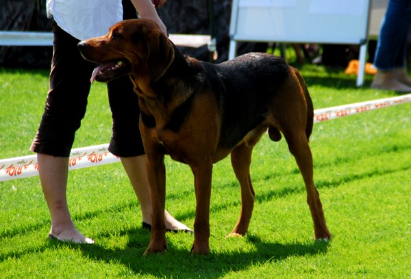 DSC_3607.JPG