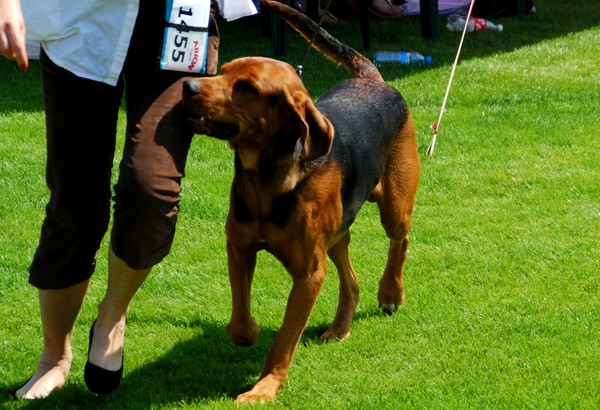 DSC_3610.JPG