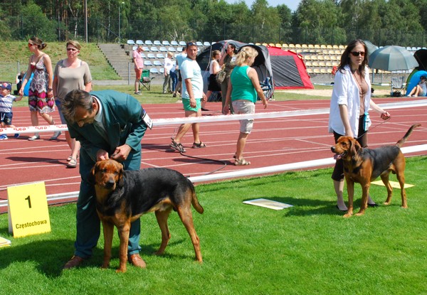 DSC_3613.JPG