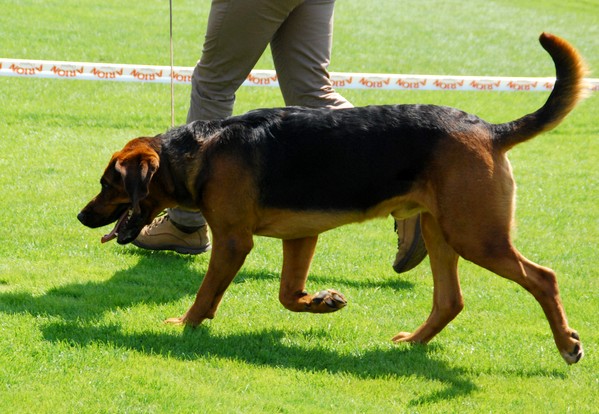 DSC_3616.JPG