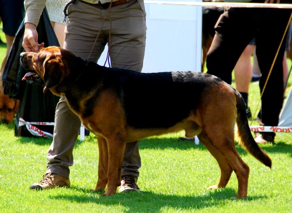 DSC_3619.JPG