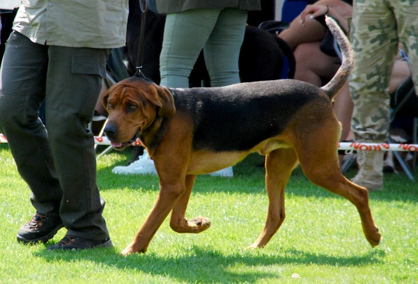 DSC_3628.JPG