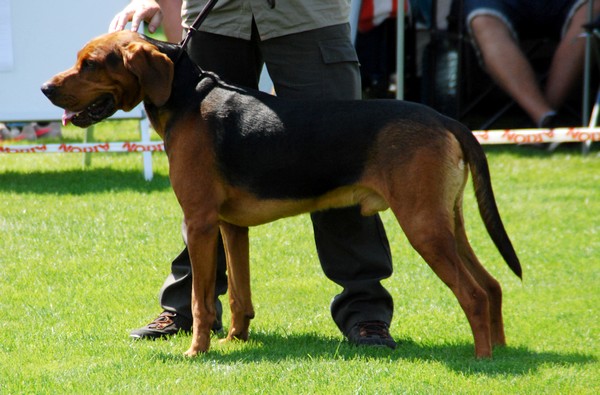 DSC_3629.JPG