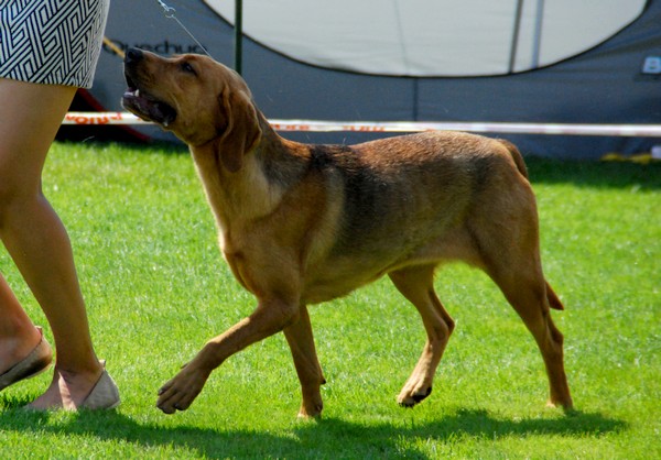 DSC_3655.JPG