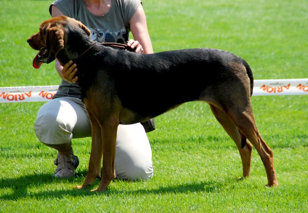 DSC_3663.JPG