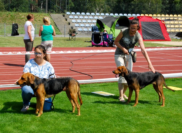 DSC_3668.JPG